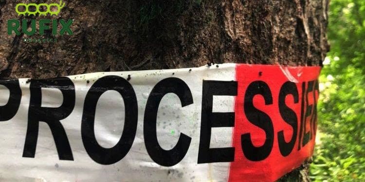 rufix verdiend een kans zich te bewijzen